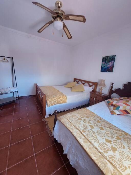 Casa Amarela - Praias Alqueva Povoa de Sao Miguel Extérieur photo